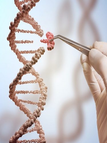 Embriyo Genetik Tanısı Embriyo Genetik Tanısı