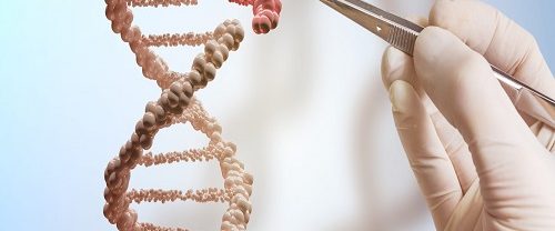 Embriyo Genetik Tanısı