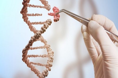 Embriyo Genetik Tanısı