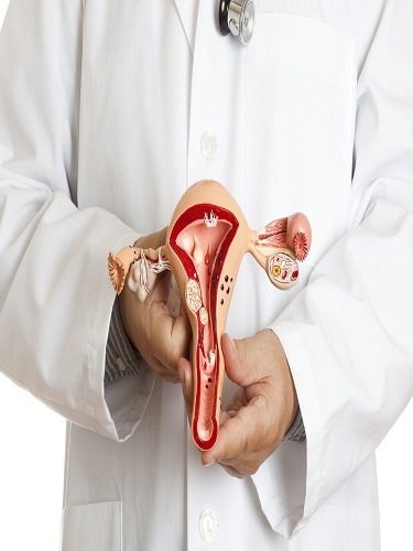 Endometriozis Endometriozis