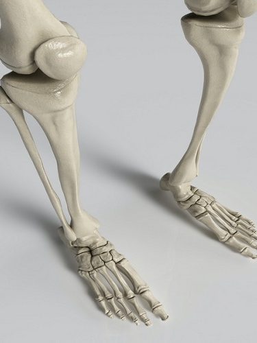 Kemik Ameliyatı Kemik Ameliyatı