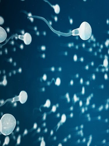 OPU Sperm Ovum ve Embriyo Prezervasyon OPU Sperm Ovum ve Embriyo Prezervasyon