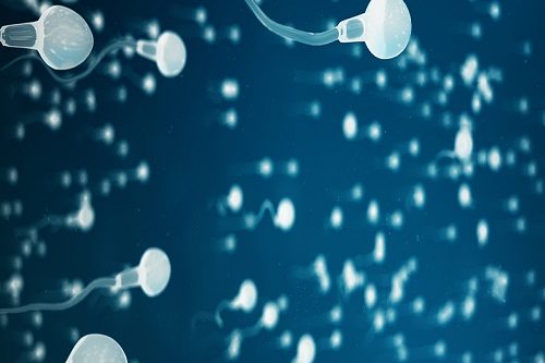 OPU Sperm Ovum ve Embriyo Prezervasyon