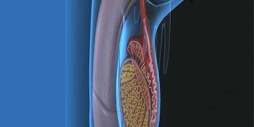 Penis Eğriliği Düzeltme Ameliyatı