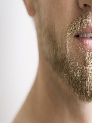 Sakal ve Bıyık Ekimi Sakal ve Bıyık Ekimi