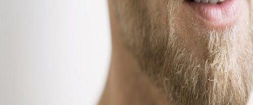 Sakal ve Bıyık Ekimi