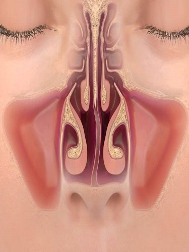 Septoplasti Ameliyatı Septoplasti Ameliyatı