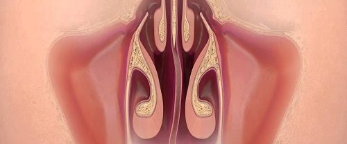 Septoplasti Ameliyatı