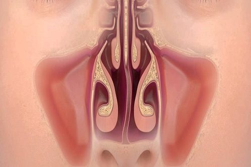 Septoplasti Ameliyatı