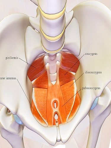 TOT Vagynal Syling Operasyonları TOT Vagynal Syling Operasyonları