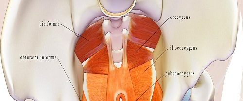 TOT Vagynal Syling Operasyonları
