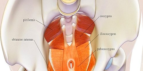 TOT Vagynal Syling Operasyonları