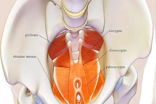 TOT Vagynal Syling Operasyonları