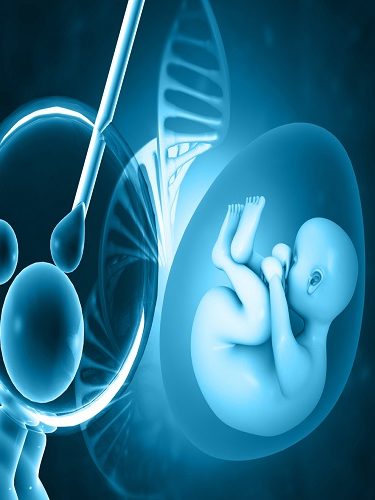 Tüp Bebek Tüp Bebek