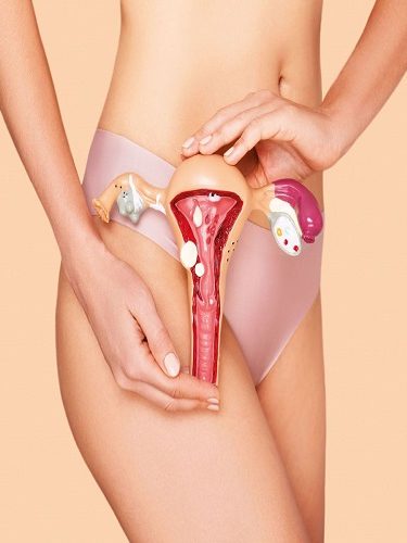 Vajinal Sıkılaştırma ve Daraltma Vajinal Sıkılaştırma ve Daraltma